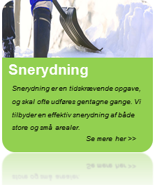 sne